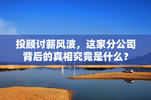 投顾讨薪风波，这家分公司背后的真相究竟是什么？