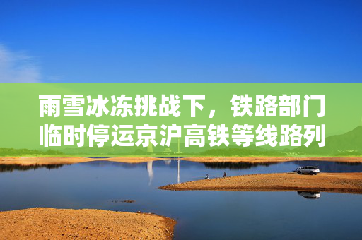 雨雪冰冻挑战下，铁路部门临时停运京沪高铁等线路列车