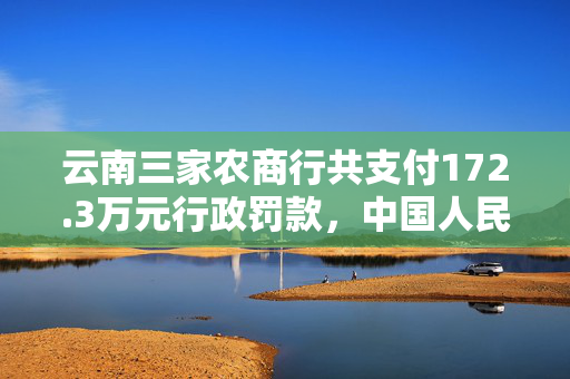 云南三家农商行共支付172.3万元行政罚款，中国人民银行云南省分行发布罚单