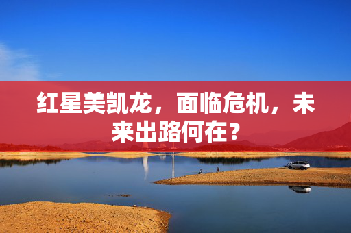 红星美凯龙，面临危机，未来出路何在？