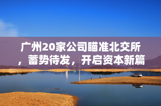 广州20家公司瞄准北交所，蓄势待发，开启资本新篇章