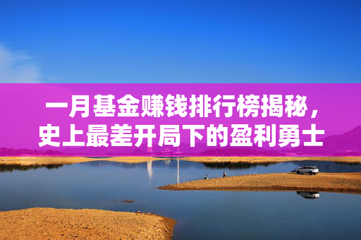 一月基金赚钱排行榜揭秘，史上最差开局下的盈利勇士如何脱颖而出