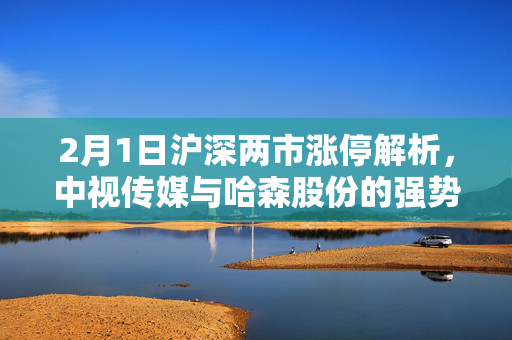 2月1日沪深两市涨停解析，中视传媒与哈森股份的强势表现