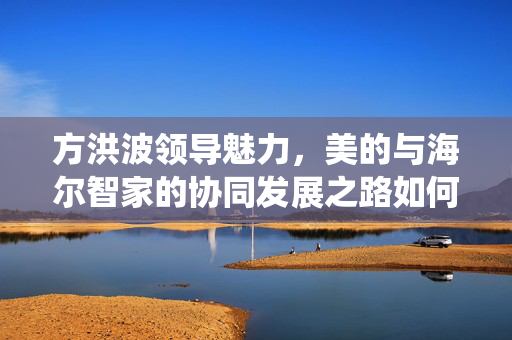 方洪波领导魅力，美的与海尔智家的协同发展之路如何超越传统领导模式
