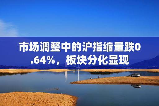 市场调整中的沪指缩量跌0.64%，板块分化显现