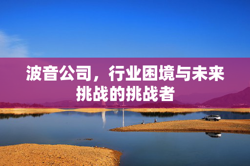 波音公司，行业困境与未来挑战的挑战者