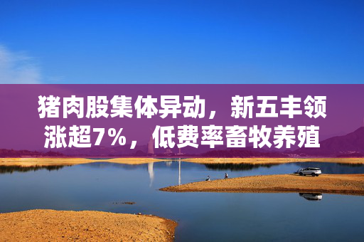 猪肉股集体异动，新五丰领涨超7%，低费率畜牧养殖ETF强势反包涨2.67%