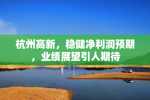 杭州高新，稳健净利润预期，业绩展望引人期待