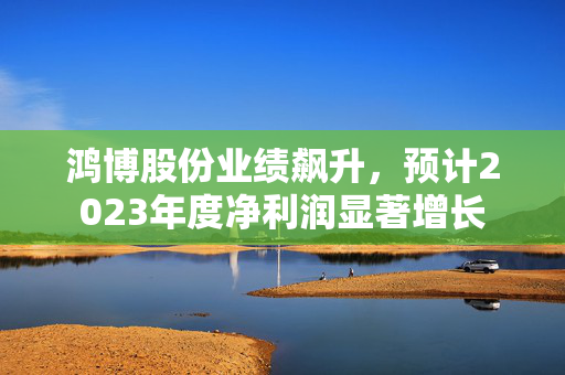 鸿博股份业绩飙升，预计2023年度净利润显著增长