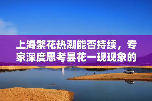上海繁花热潮能否持续，专家深度思考昙花一现现象的背后
