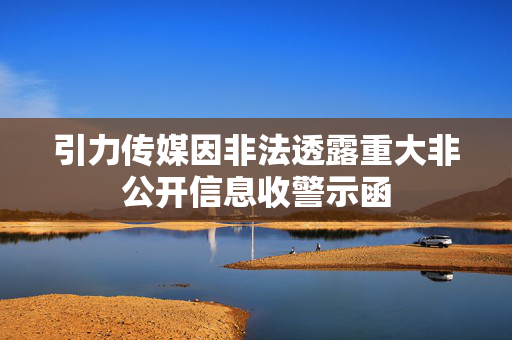引力传媒因非法透露重大非公开信息收警示函