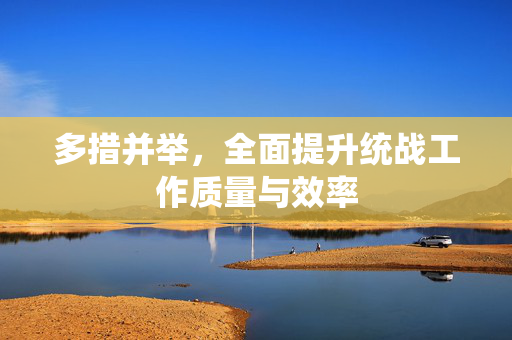 多措并举，全面提升统战工作质量与效率