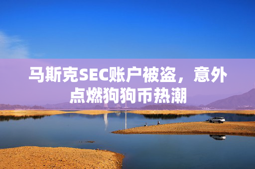马斯克SEC账户被盗，意外点燃狗狗币热潮