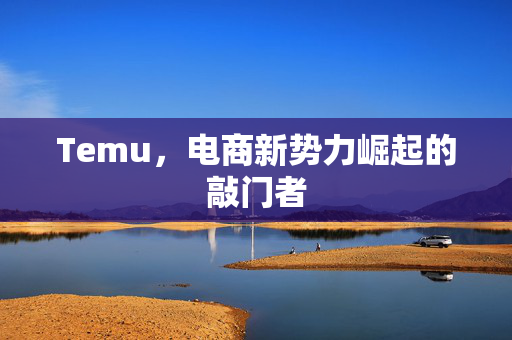 Temu，电商新势力崛起的敲门者