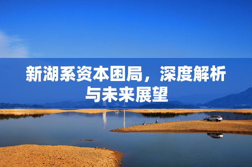 新湖系资本困局，深度解析与未来展望