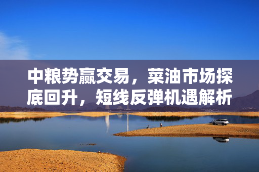 中粮势赢交易，菜油市场探底回升，短线反弹机遇解析