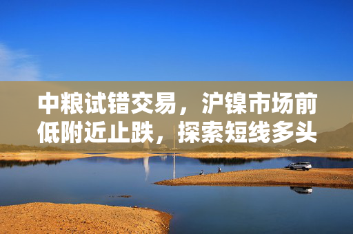 中粮试错交易，沪镍市场前低附近止跌，探索短线多头机会