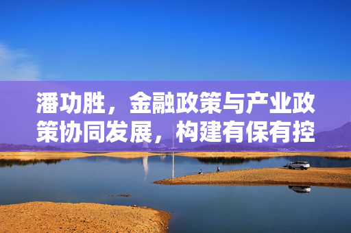 潘功胜，金融政策与产业政策协同发展，构建有保有控的金融生态
