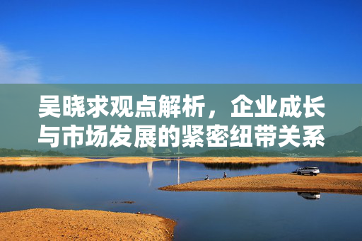 吴晓求观点解析，企业成长与市场发展的紧密纽带关系