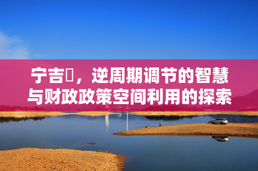宁吉喆，逆周期调节的智慧与财政政策空间利用的探索