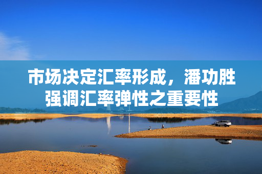 市场决定汇率形成，潘功胜强调汇率弹性之重要性