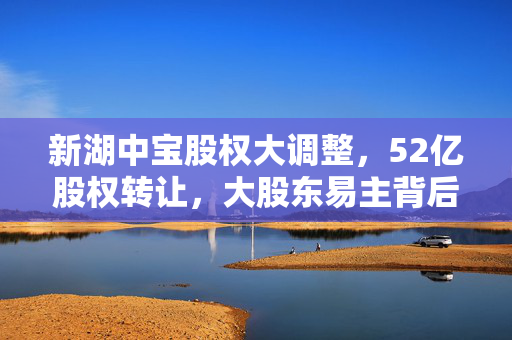 新湖中宝股权大调整，52亿股权转让，大股东易主背后的资本博弈