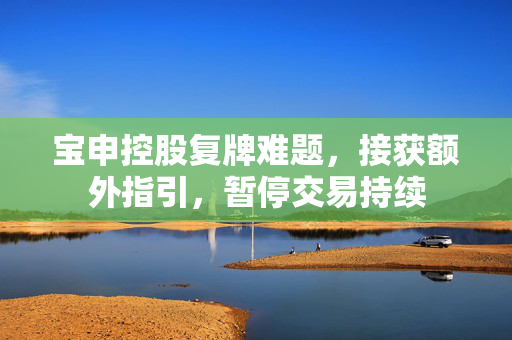宝申控股复牌难题，接获额外指引，暂停交易持续