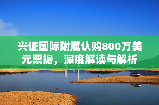 兴证国际附属认购800万美元票据，深度解读与解析