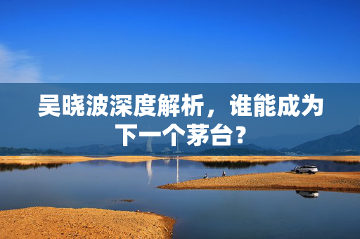 吴晓波深度解析，谁能成为下一个茅台？