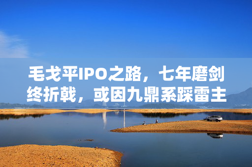 毛戈平IPO之路，七年磨剑终折戟，或因九鼎系踩雷主动撤单