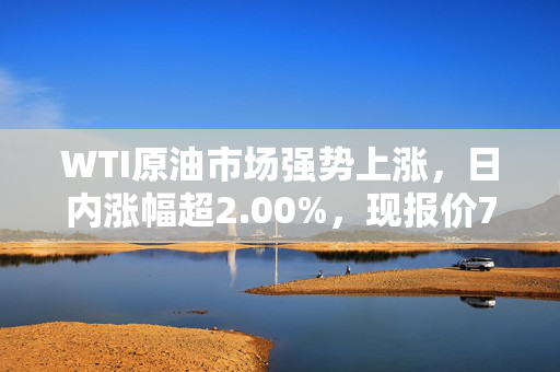 WTI原油市场强势上涨，日内涨幅超2.00%，现报价73美元。