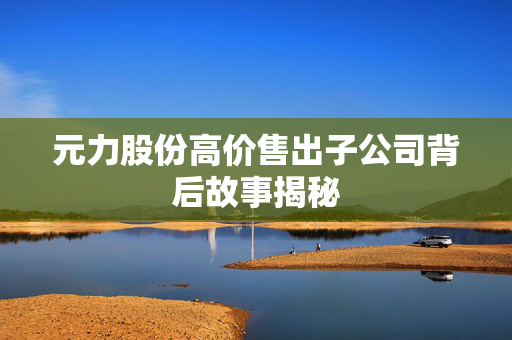 元力股份高价售出子公司背后故事揭秘