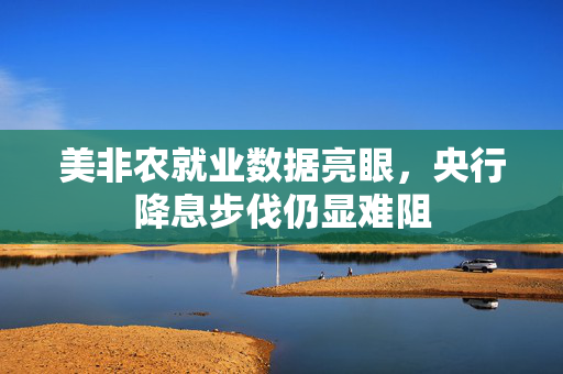 美非农就业数据亮眼，央行降息步伐仍显难阻
