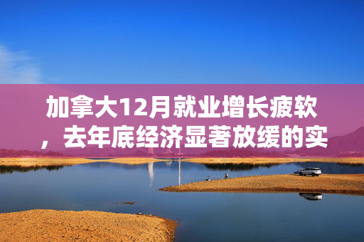 加拿大12月就业增长疲软，去年底经济显著放缓的实证分析