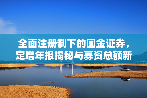 全面注册制下的国金证券，定增年报揭秘与募资总额新低的挑战与反思