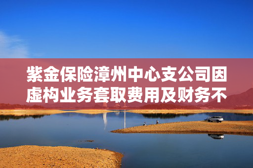 紫金保险漳州中心支公司因虚构业务套取费用及财务不实遭罚25万元
