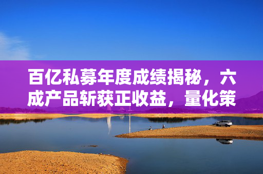 百亿私募年度成绩揭秘，六成产品斩获正收益，量化策略显眼包领跑市场