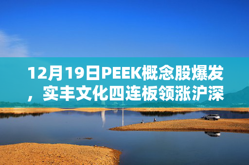 12月19日PEEK概念股爆发，实丰文化四连板领涨沪深两市涨停分析