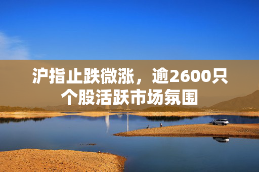 沪指止跌微涨，逾2600只个股活跃市场氛围