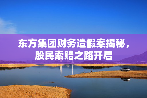 东方集团财务造假案揭秘，股民索赔之路开启