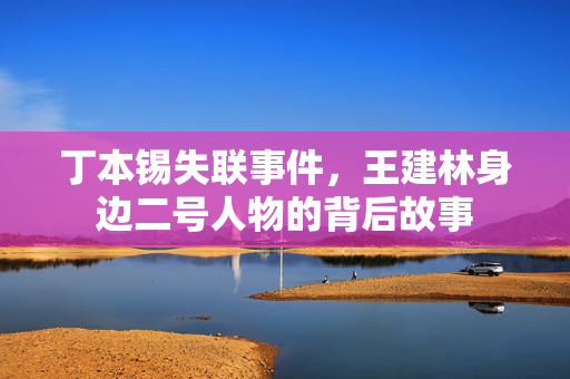 丁本锡失联事件，王建林身边二号人物的背后故事
