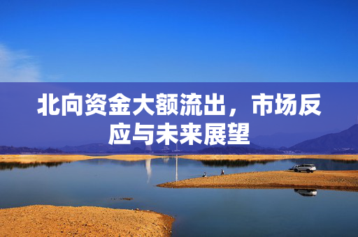 北向资金大额流出，市场反应与未来展望