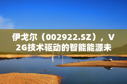 伊戈尔（002922.SZ），V2G技术驱动的智能能源未来