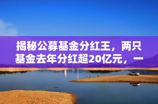 揭秘公募基金分红王，两只基金去年分红超20亿元，一只基金收益高达129%的背后秘密