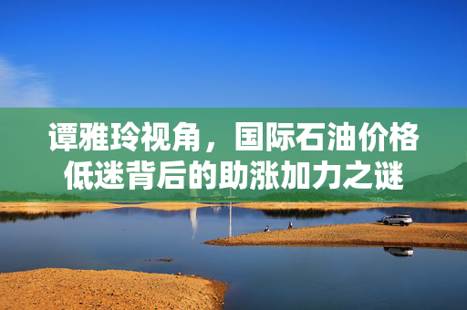 谭雅玲视角，国际石油价格低迷背后的助涨加力之谜