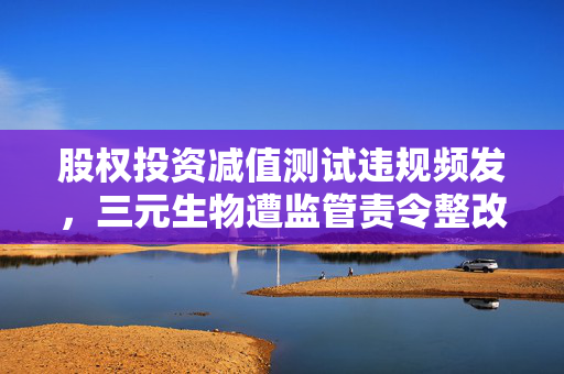 股权投资减值测试违规频发，三元生物遭监管责令整改