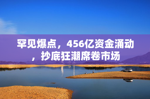 罕见爆点，456亿资金涌动，抄底狂潮席卷市场
