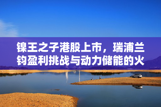 镍王之子港股上市，瑞浦兰钧盈利挑战与动力储能的火热赛道展望