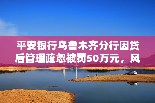 平安银行乌鲁木齐分行因贷后管理疏忽被罚50万元，风险警示与行业反思