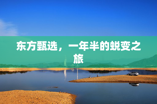 东方甄选，一年半的蜕变之旅